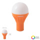 Linterna LED Armario Bombilla A Pilas (1 AA) 1 Watt. Con Iman y Colgador