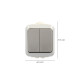 Interruptor / Conmutado Oryx  Doble con tapa gris