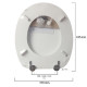 Tapa Wc  Blanco Caida Amortiguada